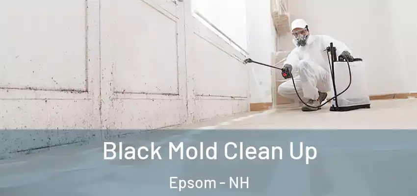 Black Mold Clean Up Epsom - NH