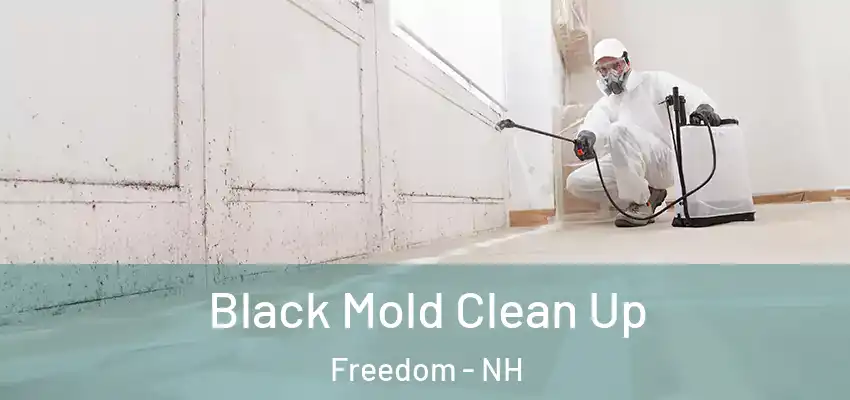  Black Mold Clean Up Freedom - NH