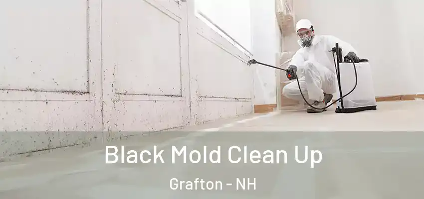  Black Mold Clean Up Grafton - NH