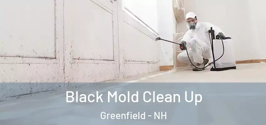  Black Mold Clean Up Greenfield - NH