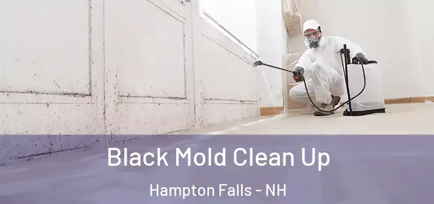  Black Mold Clean Up Hampton Falls - NH