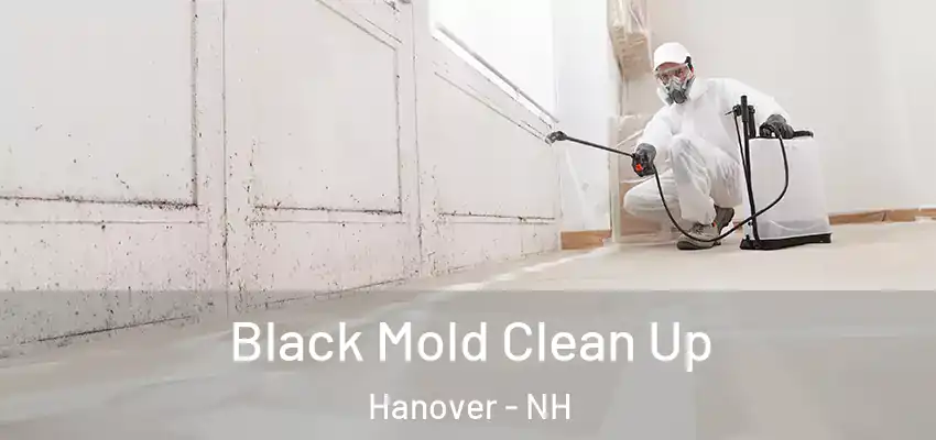  Black Mold Clean Up Hanover - NH