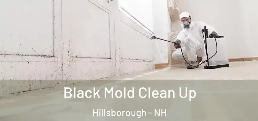  Black Mold Clean Up Hillsborough - NH