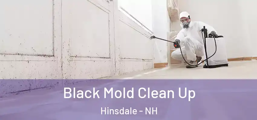  Black Mold Clean Up Hinsdale - NH