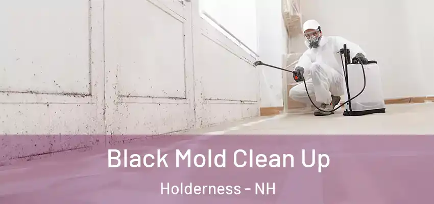  Black Mold Clean Up Holderness - NH