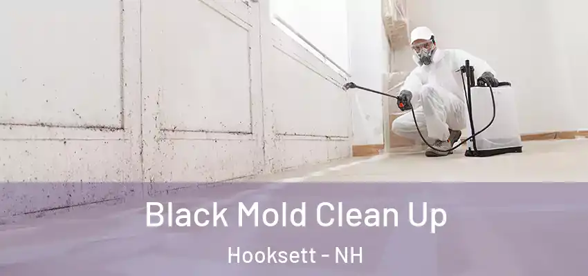  Black Mold Clean Up Hooksett - NH