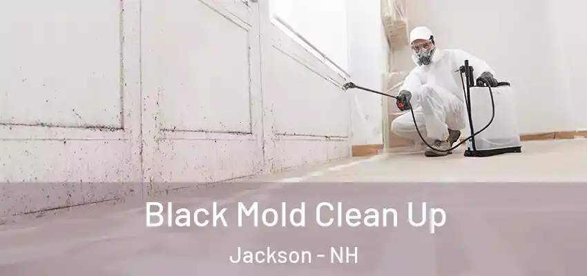  Black Mold Clean Up Jackson - NH