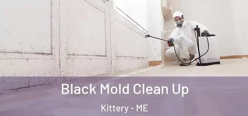  Black Mold Clean Up Kittery - ME