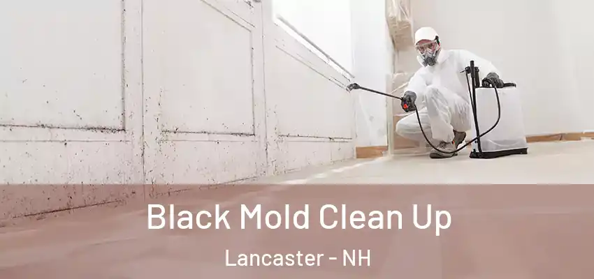  Black Mold Clean Up Lancaster - NH