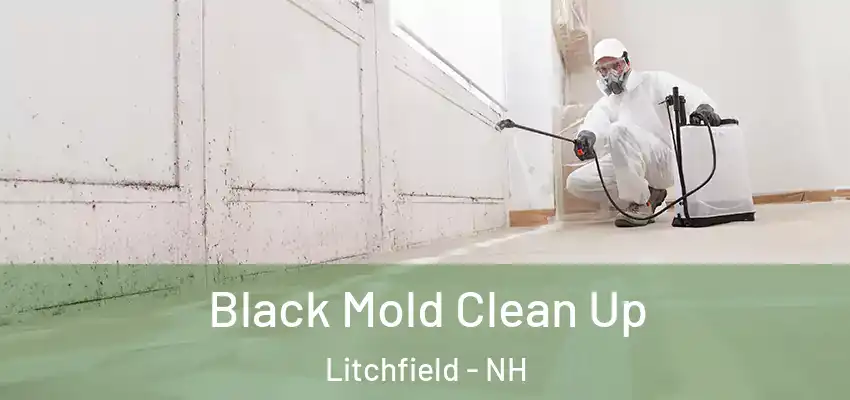  Black Mold Clean Up Litchfield - NH