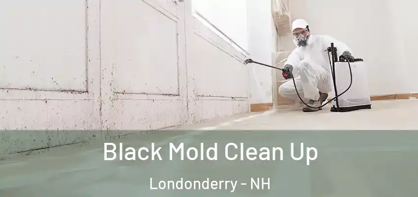  Black Mold Clean Up Londonderry - NH