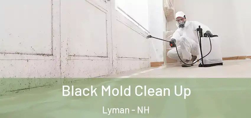  Black Mold Clean Up Lyman - NH