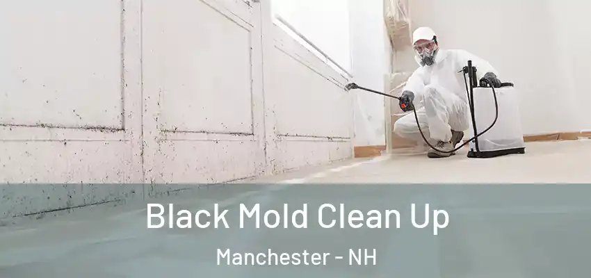  Black Mold Clean Up Manchester - NH
