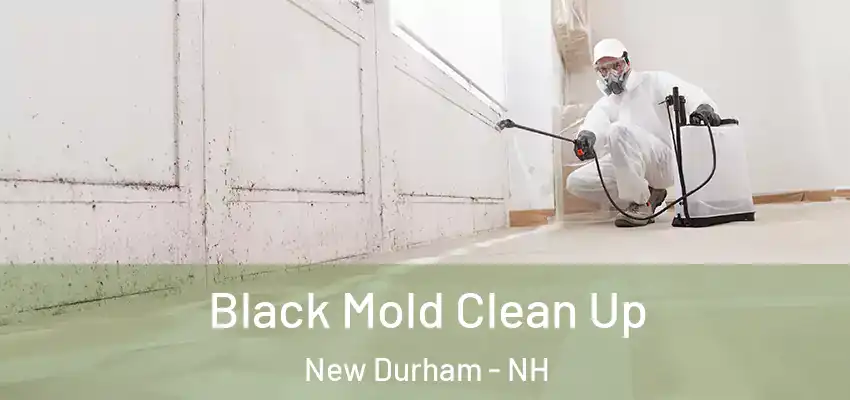  Black Mold Clean Up New Durham - NH