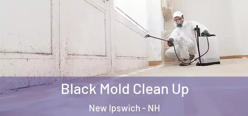  Black Mold Clean Up New Ipswich - NH