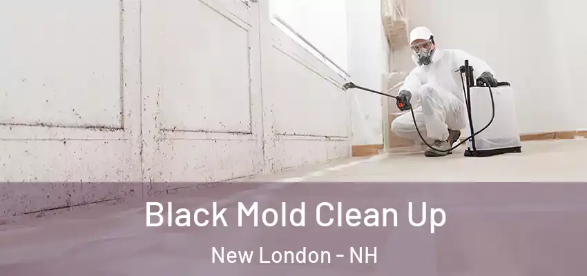 Black Mold Clean Up New London - NH