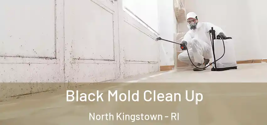  Black Mold Clean Up North Kingstown - RI