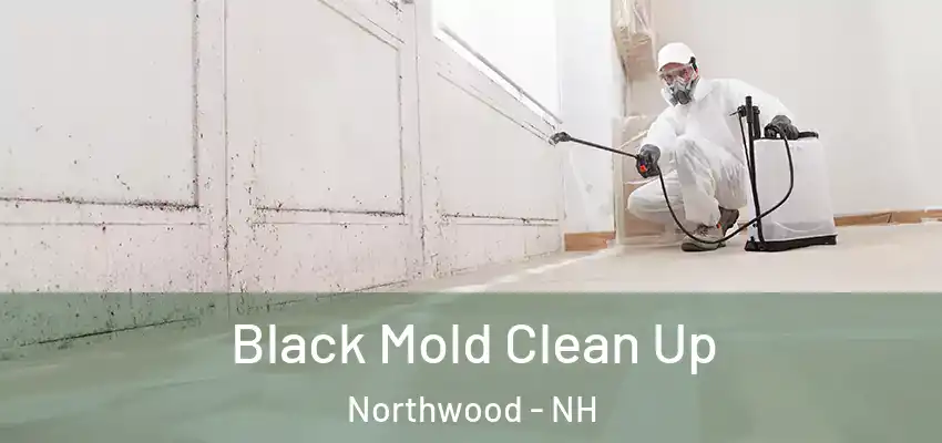  Black Mold Clean Up Northwood - NH
