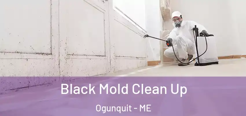 Black Mold Clean Up Ogunquit - ME