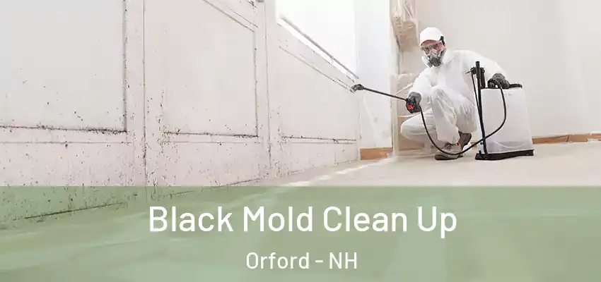  Black Mold Clean Up Orford - NH