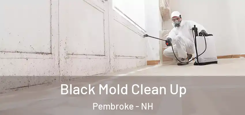  Black Mold Clean Up Pembroke - NH
