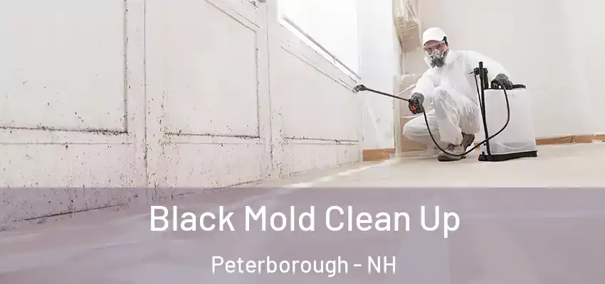  Black Mold Clean Up Peterborough - NH