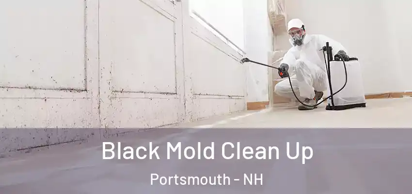 Black Mold Clean Up Portsmouth - NH