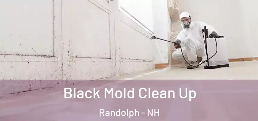  Black Mold Clean Up Randolph - NH