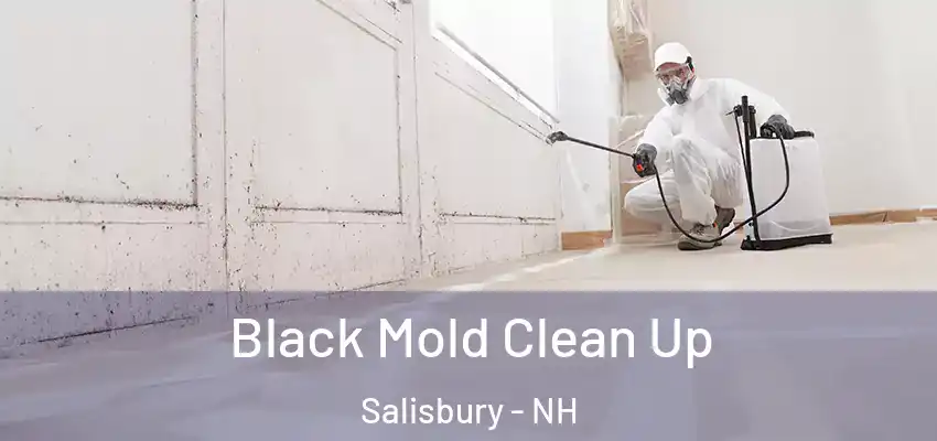  Black Mold Clean Up Salisbury - NH