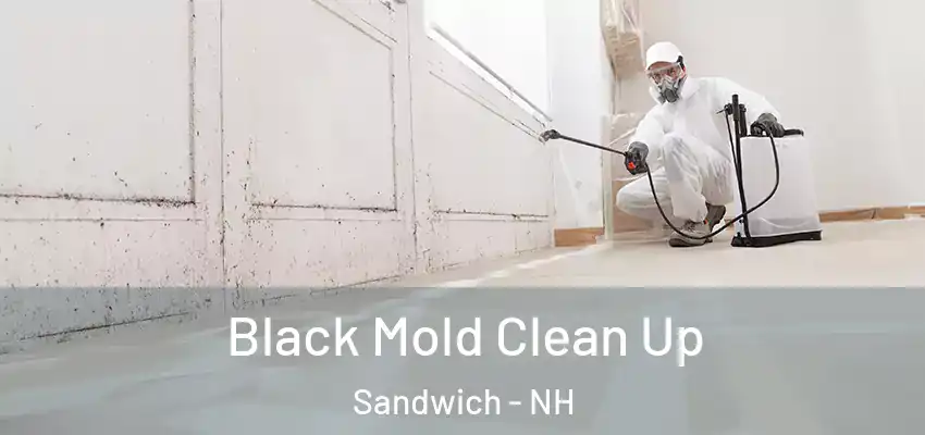  Black Mold Clean Up Sandwich - NH
