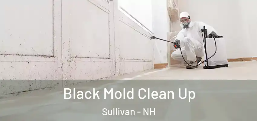  Black Mold Clean Up Sullivan - NH