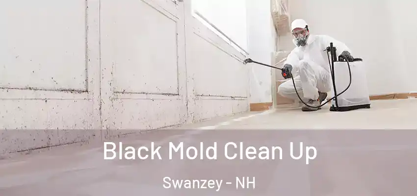  Black Mold Clean Up Swanzey - NH