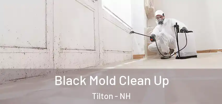  Black Mold Clean Up Tilton - NH