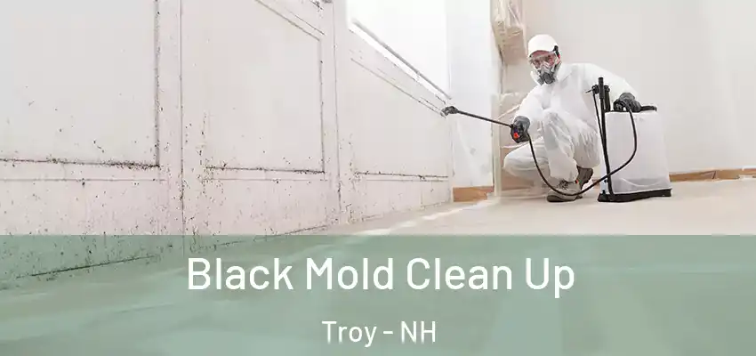 Black Mold Clean Up Troy - NH