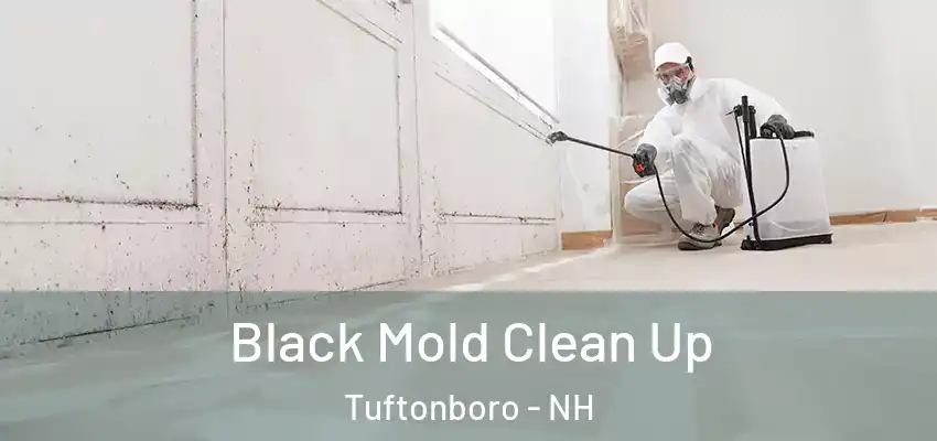  Black Mold Clean Up Tuftonboro - NH
