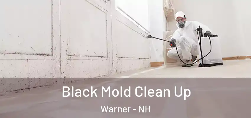 Black Mold Clean Up Warner - NH