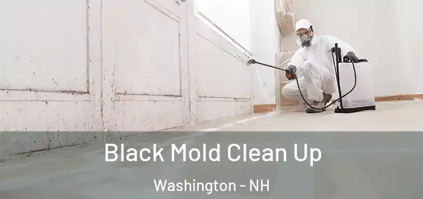  Black Mold Clean Up Washington - NH