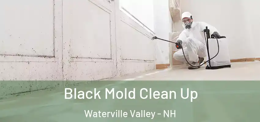  Black Mold Clean Up Waterville Valley - NH