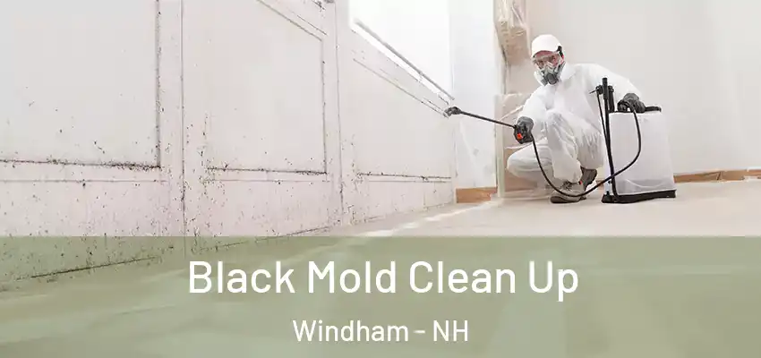  Black Mold Clean Up Windham - NH