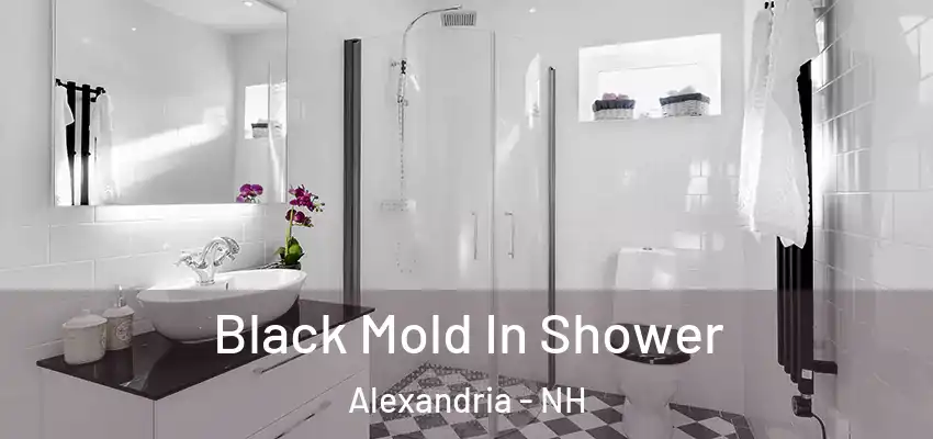  Black Mold In Shower Alexandria - NH
