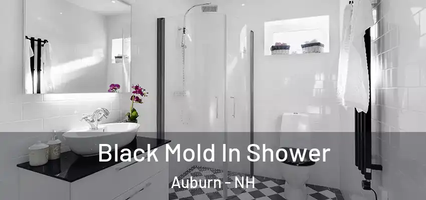  Black Mold In Shower Auburn - NH