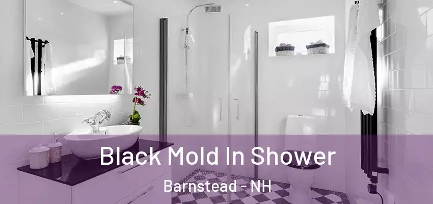  Black Mold In Shower Barnstead - NH