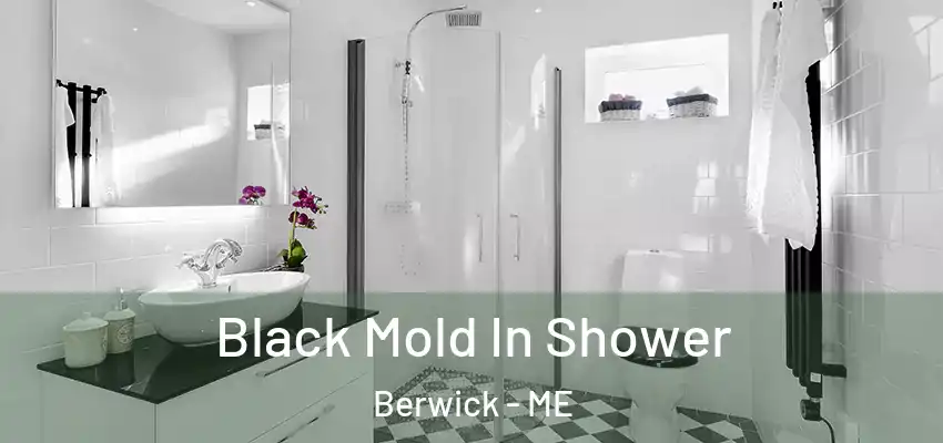  Black Mold In Shower Berwick - ME