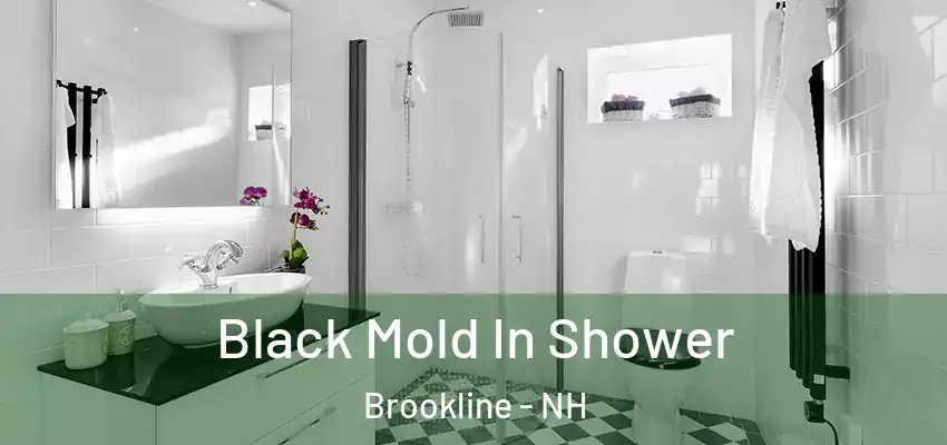  Black Mold In Shower Brookline - NH