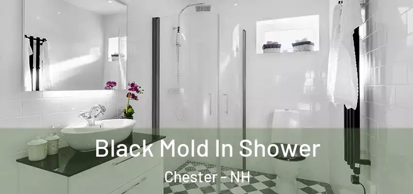  Black Mold In Shower Chester - NH
