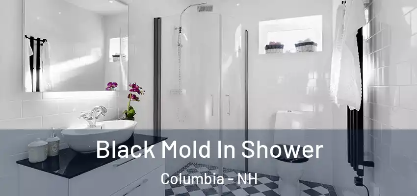  Black Mold In Shower Columbia - NH
