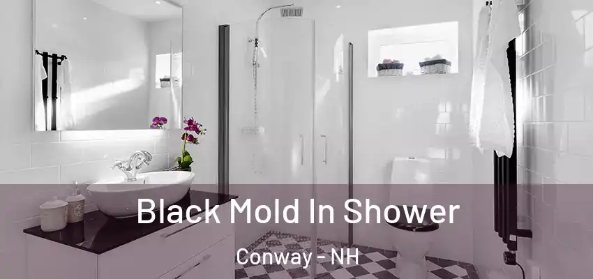  Black Mold In Shower Conway - NH