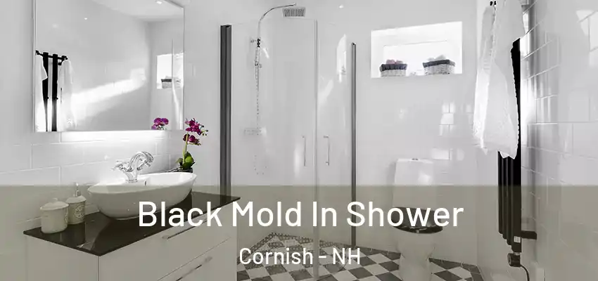  Black Mold In Shower Cornish - NH