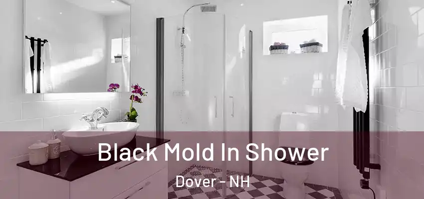  Black Mold In Shower Dover - NH