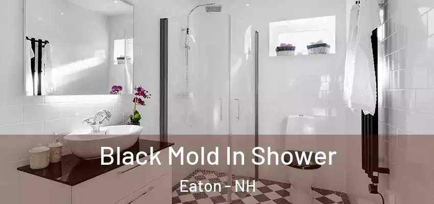  Black Mold In Shower Eaton - NH